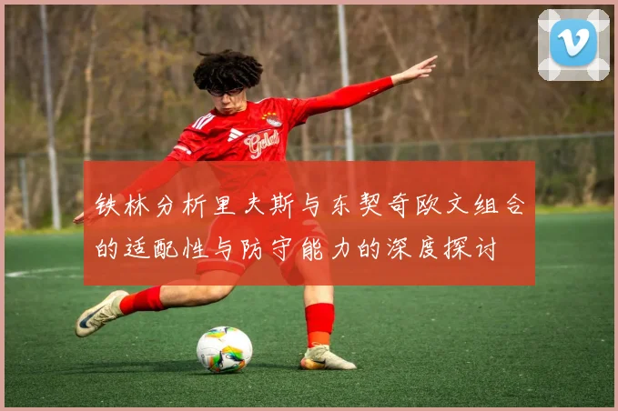 铁林分析里夫斯与东契奇欧文组合的适配性与防守能力的深度探讨